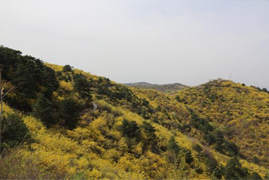 黄花岭景区