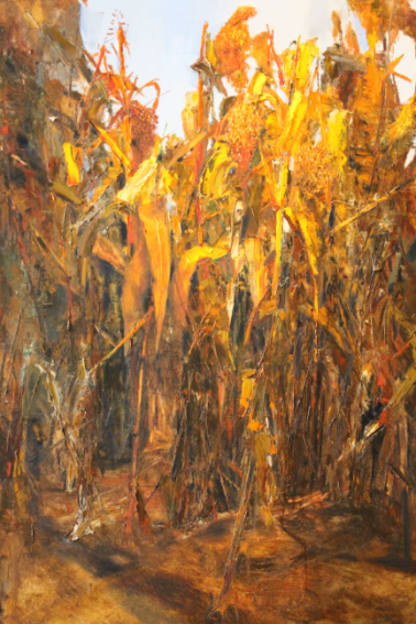 部分参展作品